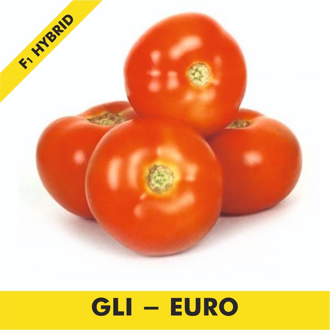 GLI-LEO Tomato