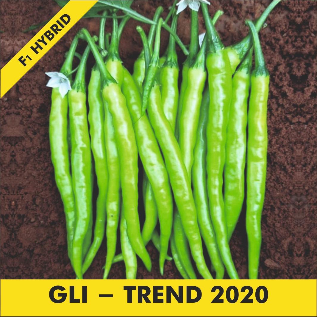 GLI-TREND-2020 Chilli
